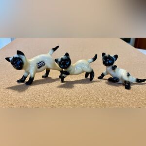 Kelvin bone chine siamese cat miniatures